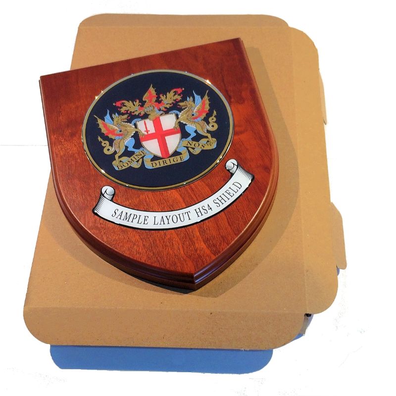 Presentation shield with round shaped centrepiece and scroll.